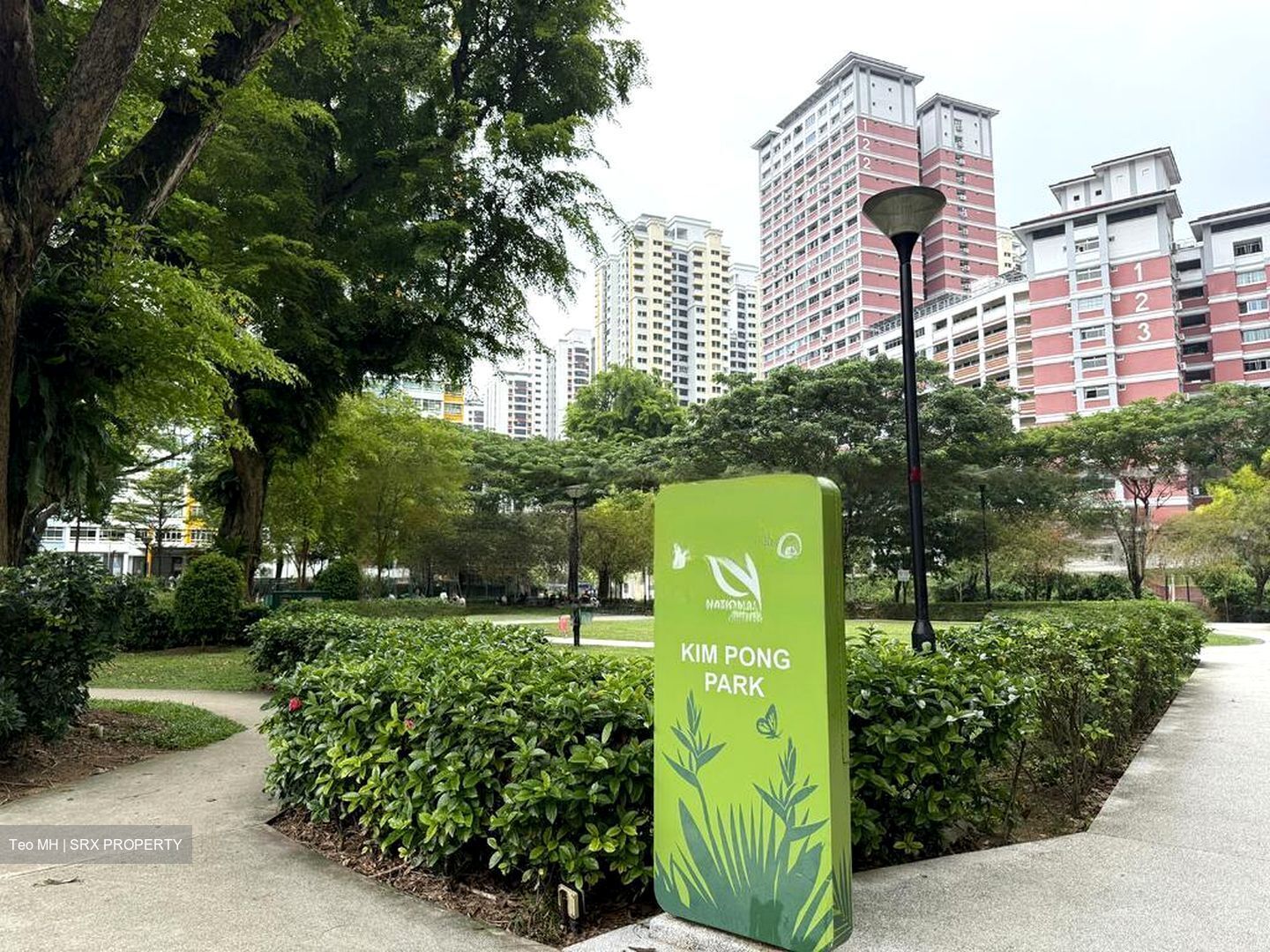 Blk 49 Kim Pong Road (Bukit Merah), HDB 3 Rooms #459306861